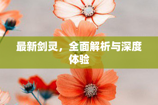 最新剑灵，全面解析与深度体验