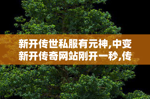 新开传世私服有元神,中变新开传奇网站刚开一秒,传奇世界私服发布网新开服,中变新开传奇网站刚开一秒