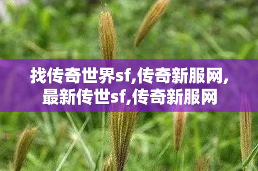 找传奇世界sf,传奇新服网,最新传世sf,传奇新服网
