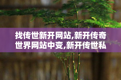找传世新开网站,新开传奇世界网站中变,新开传世私服有元神,新开传奇世界网站中变