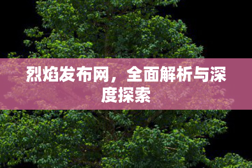 烈焰发布网，全面解析与深度探索