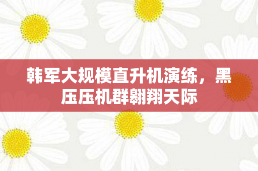 韩军大规模直升机演练，黑压压机群翱翔天际