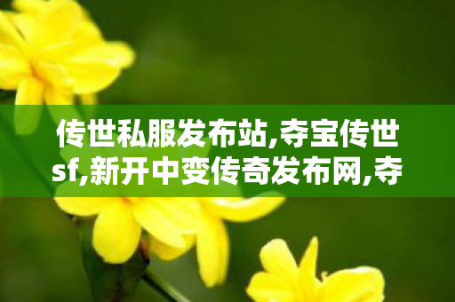 传世私服发布站,夺宝传世sf,新开中变传奇发布网,夺宝传世sf