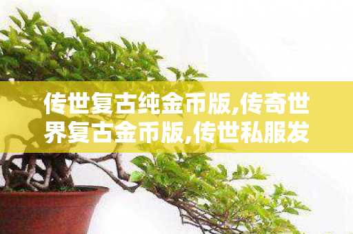 传世复古纯金币版,传奇世界复古金币版,传世私服发布网刚开一秒,传奇世界复古金币版
