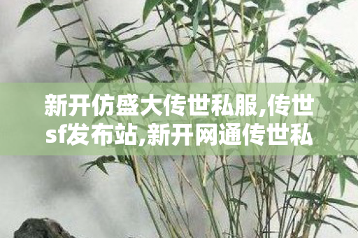 新开仿盛大传世私服,传世sf发布站,新开网通传世私服,传世sf发布站