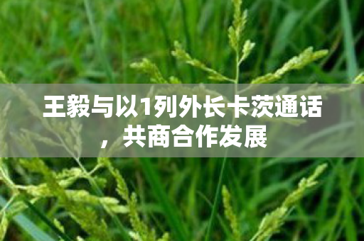 王毅与以1列外长卡茨通话，共商合作发展
