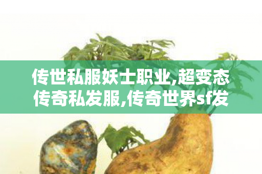 传世私服妖士职业,超变态传奇私发服,传奇世界sf发布网,超变态传奇私发服