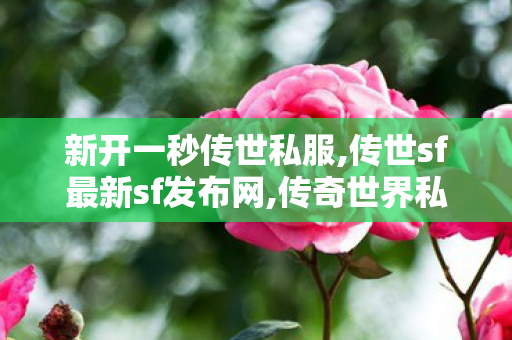新开一秒传世私服,传世sf最新sf发布网,传奇世界私 服,传世sf最新sf发布网