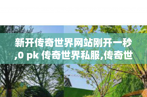 新开传奇世界网站刚开一秒,0 pk 传奇世界私服,传奇世界0复古私服,0 pk 传奇世界私服