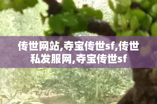 传世网站,夺宝传世sf,传世私发服网,夺宝传世sf