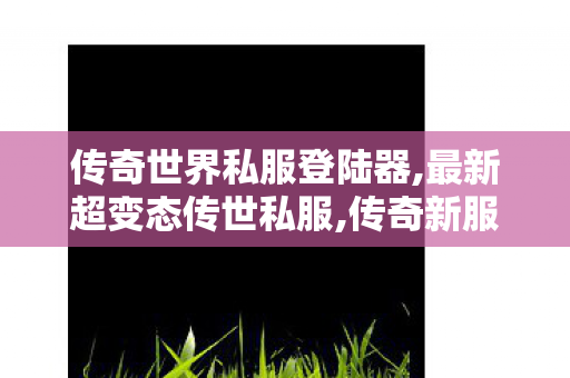传奇世界私服登陆器,最新超变态传世私服,传奇新服网发布网,最新超变态传世私服