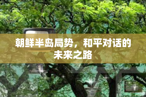 朝鲜半岛局势，和平对话的未来之路