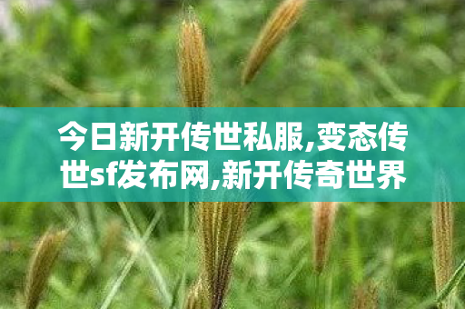 今日新开传世私服,变态传世sf发布网,新开传奇世界sf传世sf网站,变态传世sf发布网