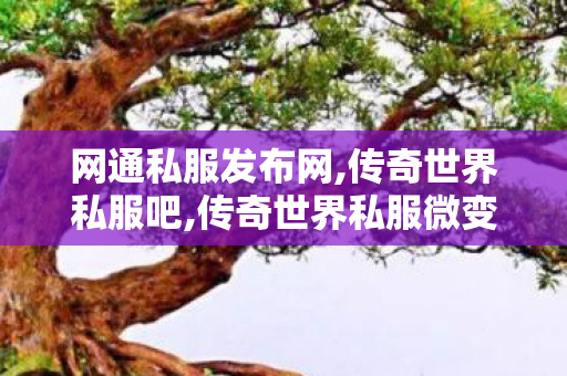 网通私服发布网,传奇世界私服吧,传奇世界私服微变,传奇世界私服吧