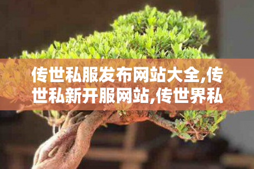 传世私服发布网站大全,传世私新开服网站,传世界私服发布网,传世私新开服网站