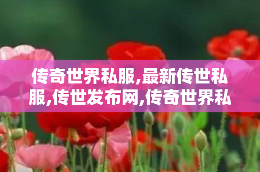 传奇世界私服,最新传世私服,传世发布网,传奇世界私服发布网,传世发布网