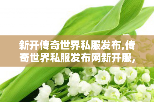 新开传奇世界私服发布,传奇世界私服发布网新开服,传奇世界私服,找新开传世私服,传奇世界私服发布网新开服