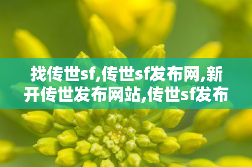 找传世sf,传世sf发布网,新开传世发布网站,传世sf发布网