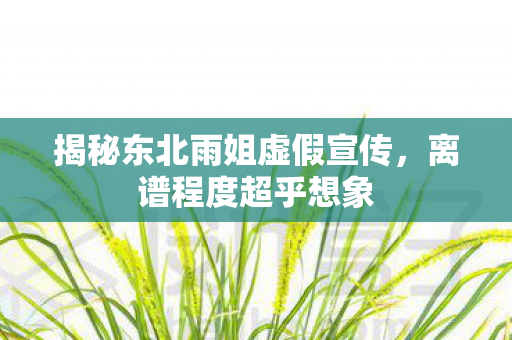 揭秘东北雨姐虚假宣传，离谱程度超乎想象