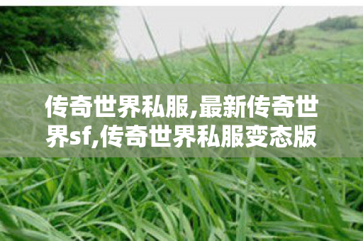 传奇世界私服,最新传奇世界sf,传奇世界私服变态版,传世私发服,传奇世界私服变态版