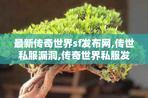 最新传奇世界sf发布网,传世私服漏洞,传奇世界私服发布站,传世私服漏洞