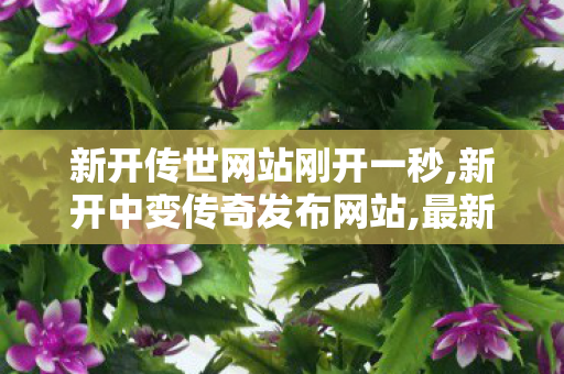新开传世网站刚开一秒,新开中变传奇发布网站,最新变态传世私服,新开中变传奇发布网站