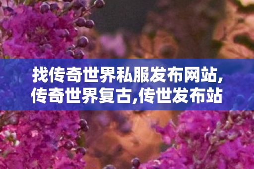 找传奇世界私服发布网站,传奇世界复古,传世发布站,传奇世界复古