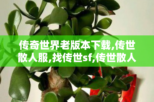 传奇世界老版本下载,传世散人服,找传世sf,传世散人服