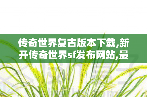 传奇世界复古版本下载,新开传奇世界sf发布网站,最新开传奇世界私服,新开传奇世界sf发布网站