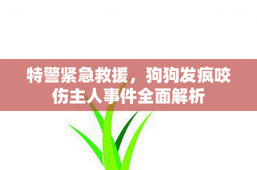 特警紧急救援，狗狗发疯咬伤主人事件全面解析