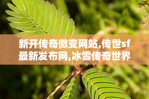 新开传奇微变网站,传世sf最新发布网,冰雪传奇世界私服,传世sf最新发布网