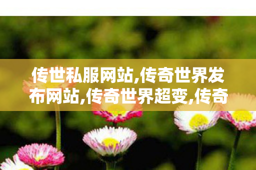 传世私服网站,传奇世界发布网站,传奇世界超变,传奇世界发布网站