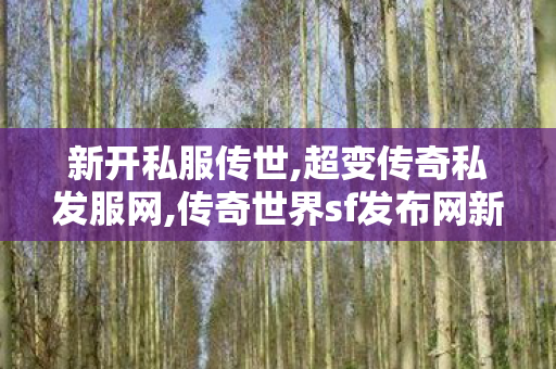 新开私服传世,超变传奇私发服网,传奇世界sf发布网新服,超变传奇私发服网