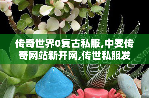 传奇世界0复古私服,中变传奇网站新开网,传世私服发布站,中变传奇网站新开网