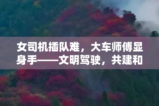女司机插队难，大车师傅显身手——文明驾驶，共建和谐交通环境