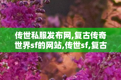 传世私服发布网,复古传奇世界sf的网站,传世sf,复古传奇世界sf的网站