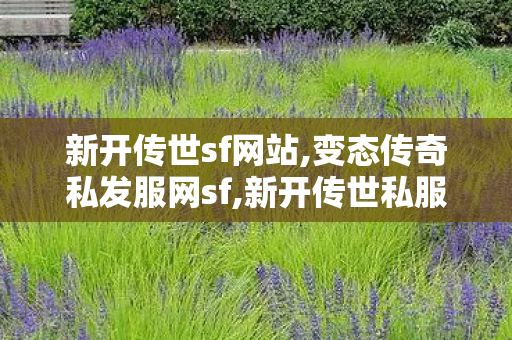 新开传世sf网站,变态传奇私发服网sf,新开传世私服,变态传奇私发服网sf