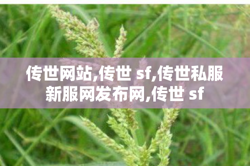 传世网站,传世 sf,传世私服新服网发布网,传世 sf