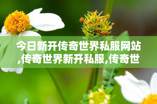 今日新开传奇世界私服网站,传奇世界新开私服,传奇世界新开网站轻变,传奇世界新开私服