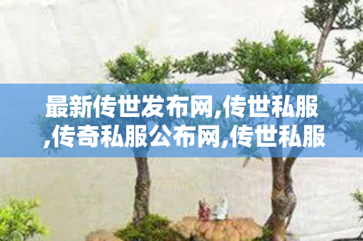 最新传世发布网,传世私服 ,传奇私服公布网,传世私服