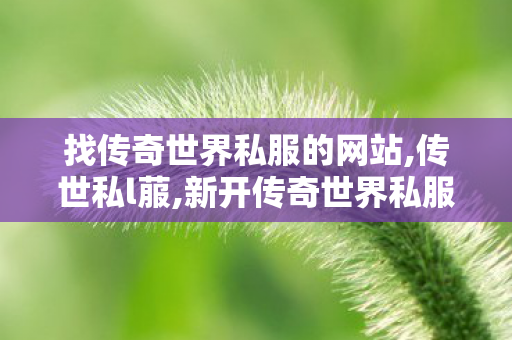 找传奇世界私服的网站,传世私l菔,新开传奇世界私服网站,传世私l菔