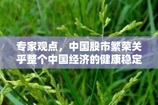 专家观点，中国股市繁荣关乎整个中国经济的健康稳定发展