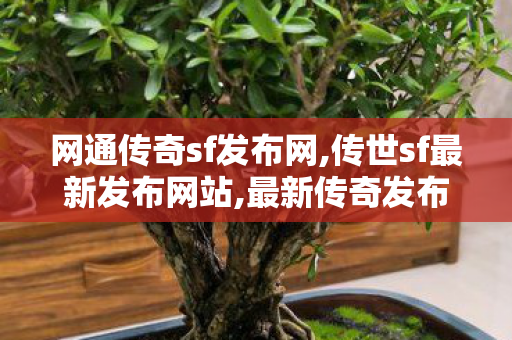 网通传奇sf发布网,传世sf最新发布网站,最新传奇发布网站,传世sf最新发布网站