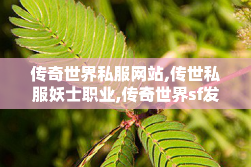 传奇世界私服网站,传世私服妖士职业,传奇世界sf发布网站,传世私服妖士职业