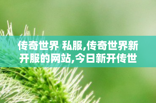 传奇世界 私服,传奇世界新开服的网站,今日新开传世sf网站,传奇世界新开服的网站
