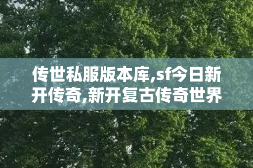 传世私服版本库,sf今日新开传奇,新开复古传奇世界私服,sf今日新开传奇