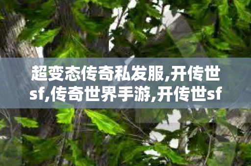 超变态传奇私发服,开传世sf,传奇世界手游,开传世sf
