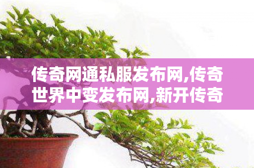 传奇网通私服发布网,传奇世界中变发布网,新开传奇世界私服,传奇世界中变发布网