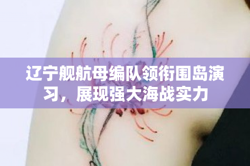 辽宁舰航母编队领衔围岛演习，展现强大海战实力