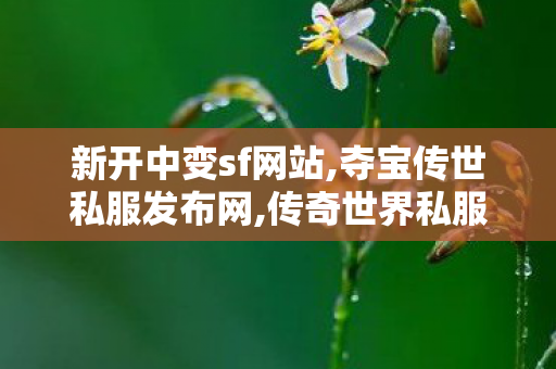 新开中变sf网站,夺宝传世私服发布网,传奇世界私服发布站,夺宝传世私服发布网